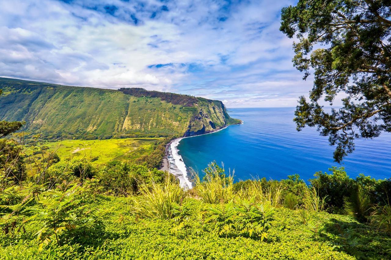 Kona Bali Kai #341 Lägenhet Kailua-Kona Exteriör bild