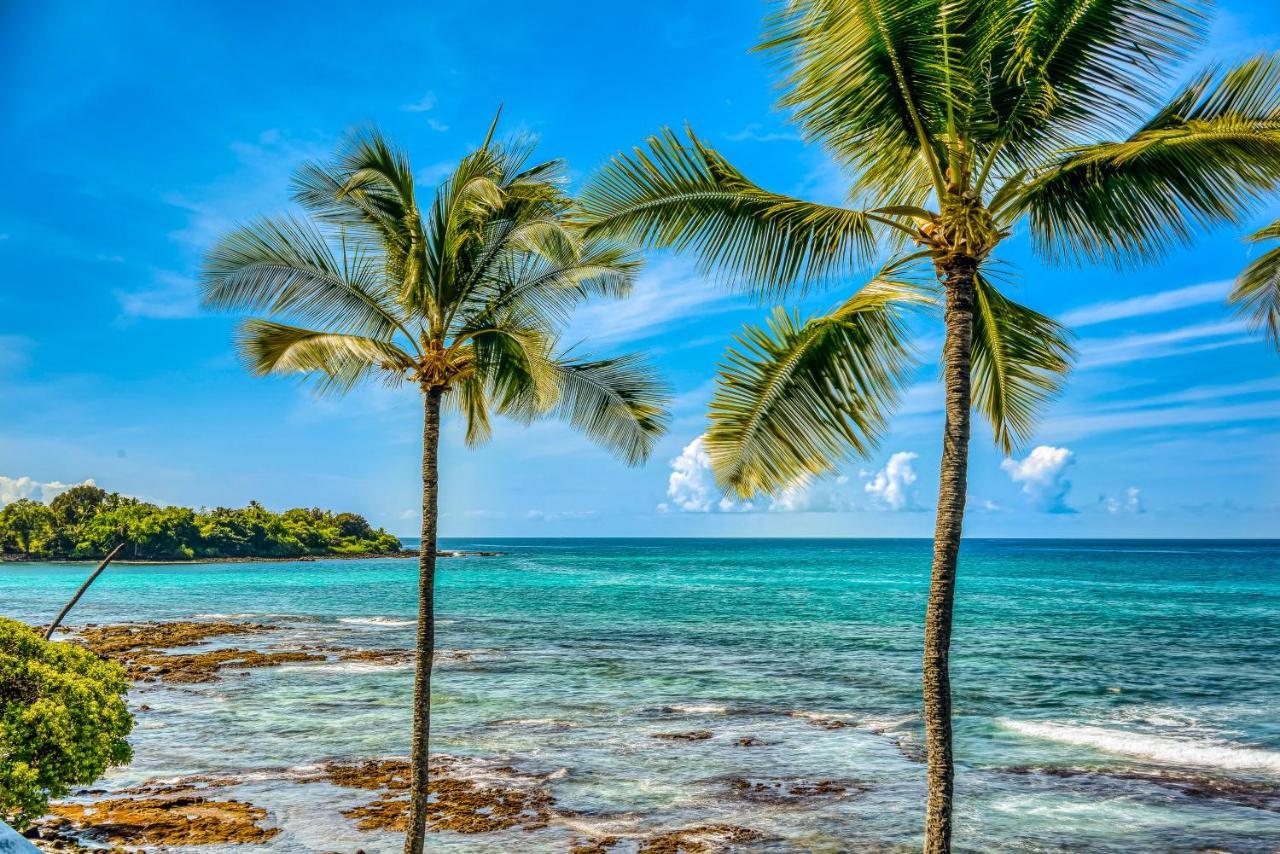 Kona Bali Kai #341 Lägenhet Kailua-Kona Exteriör bild
